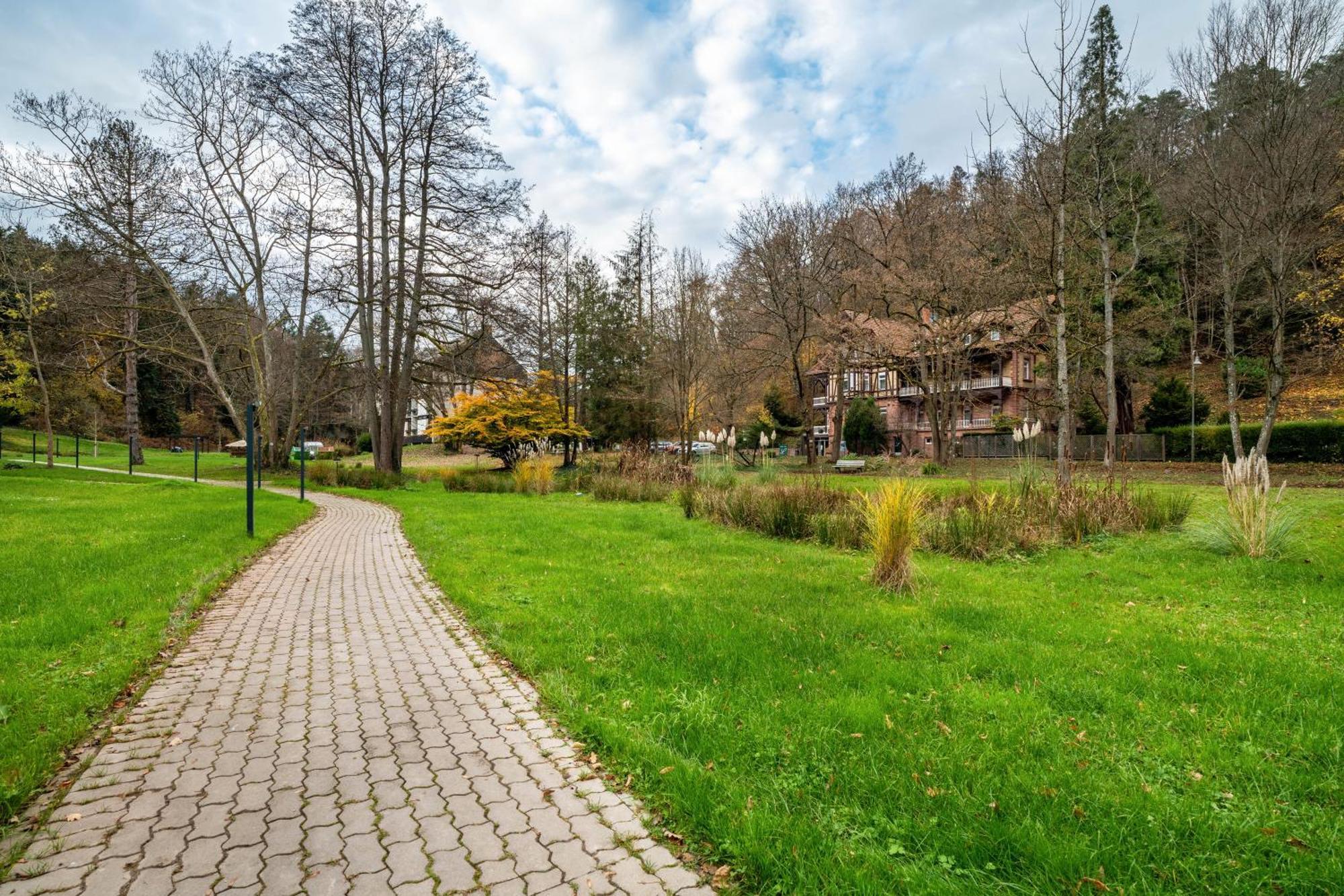 Luise Apartamento Bad Bergzabern Exterior foto